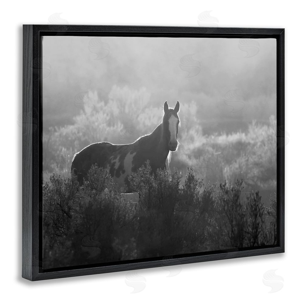 Steve Toole Horse in Nature Trees Black Floating Frame Canvas Wall Art Print