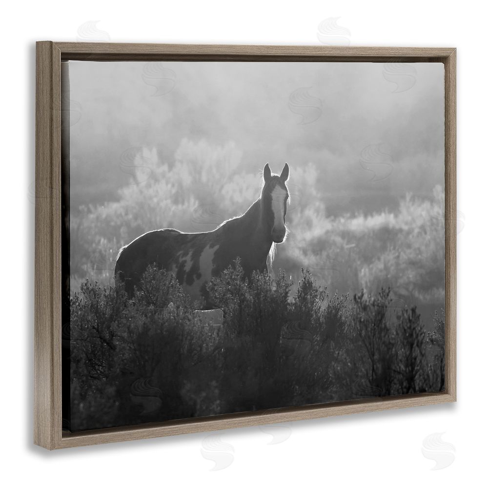 Steve Toole Horse in Nature Trees Brown Floating Frame Canvas Wall Art Print