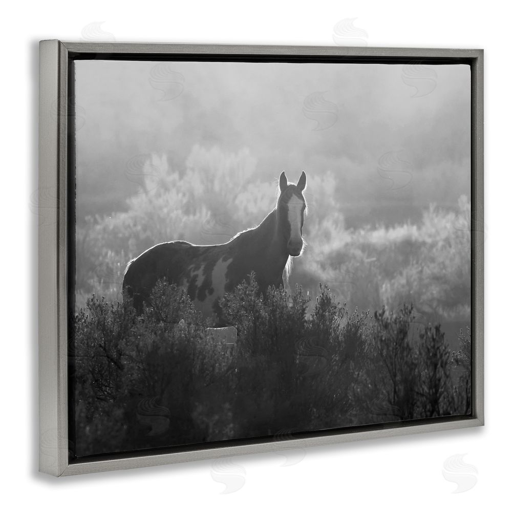 Steve Toole Horse in Nature Trees Gray Floating Frame Canvas Wall Art Print