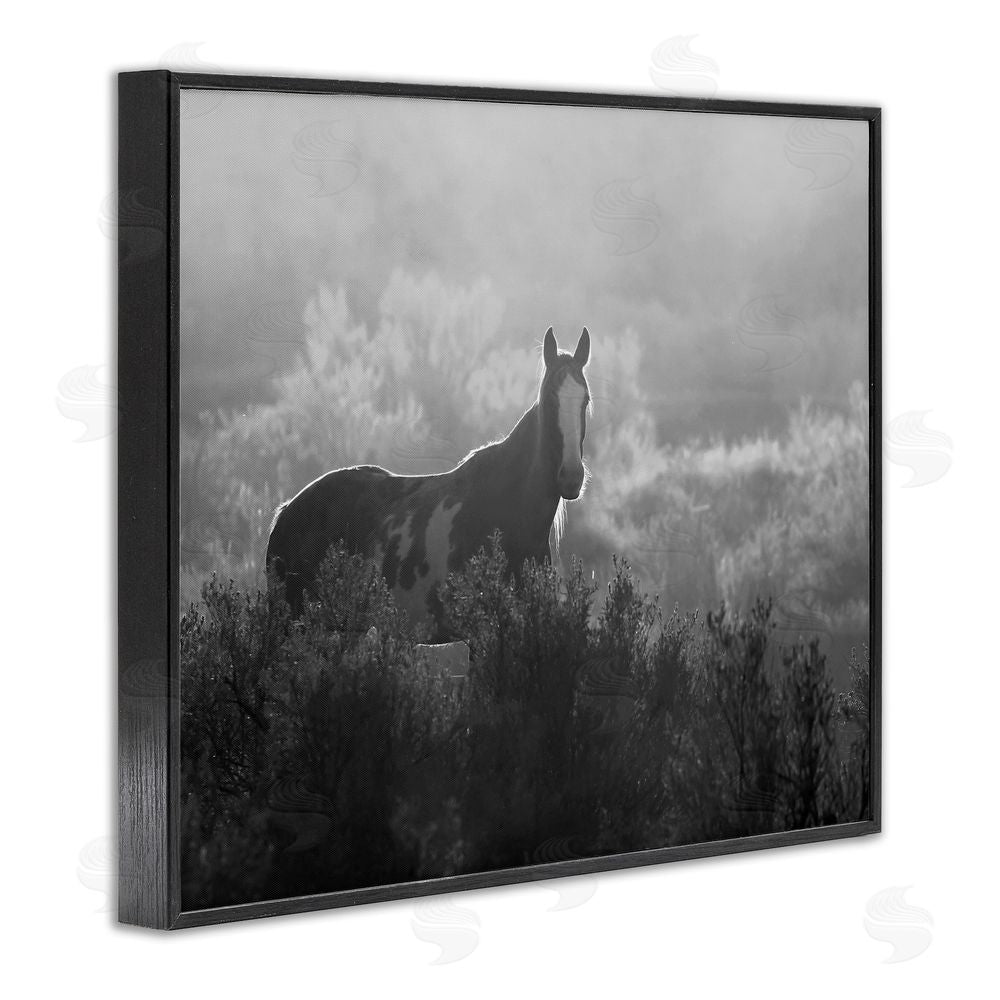 Steve Toole Horse in Nature Trees Black Framed Giclee Wall Art Print