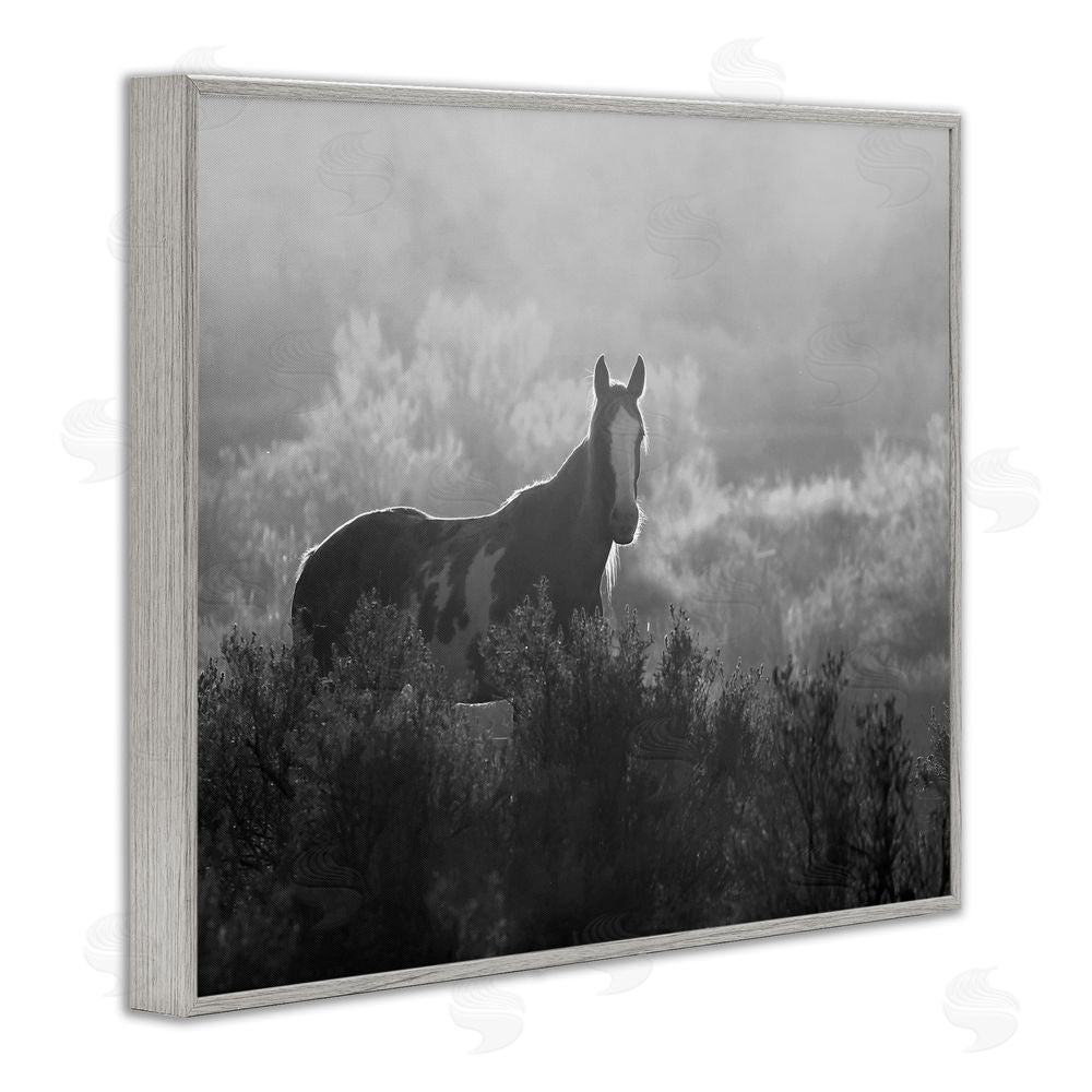 Steve Toole Horse in Nature Trees Gray Framed Giclee Wall Art Print