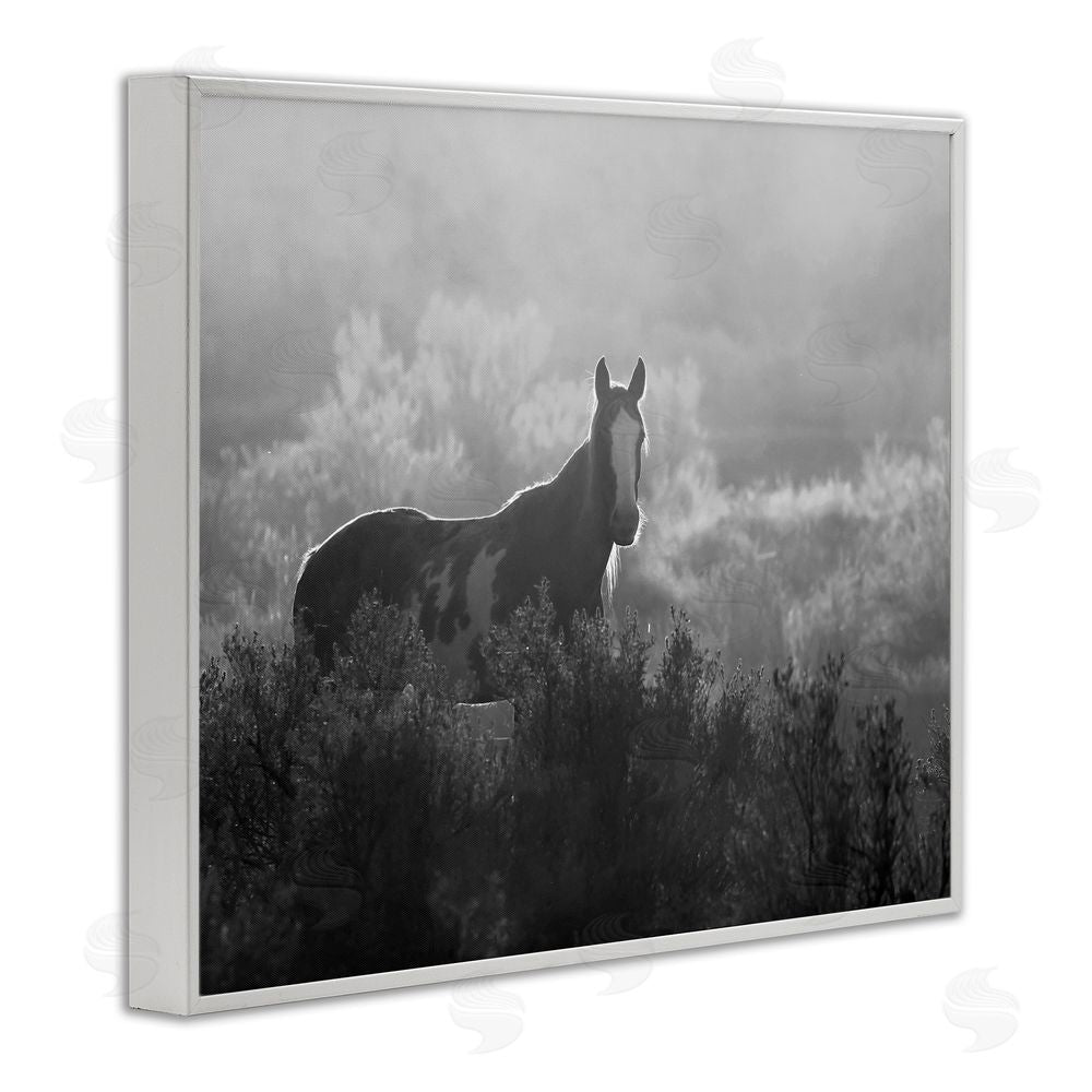 Steve Toole Horse in Nature Trees White Framed Giclee Wall Art Print
