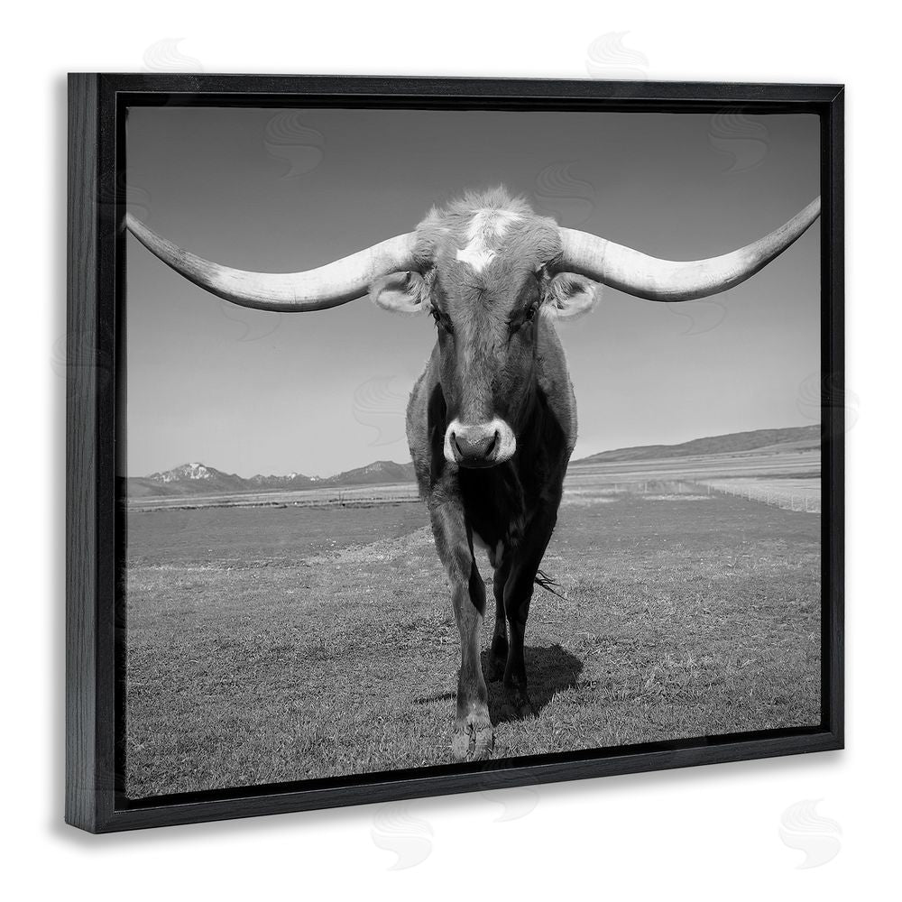 Steve Toole Longhorn in Countryside Black Floating Frame Canvas Wall Art Print