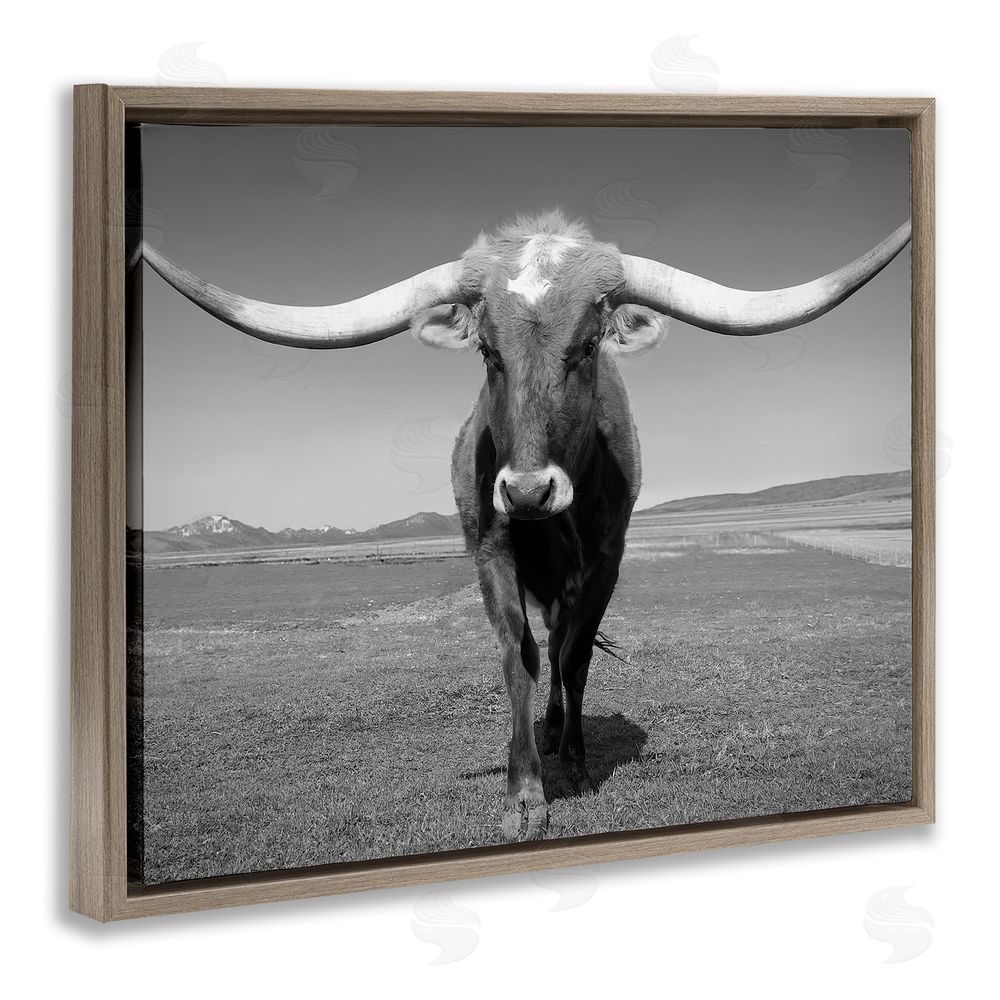 Steve Toole Longhorn in Countryside Brown Floating Frame Canvas Wall Art Print