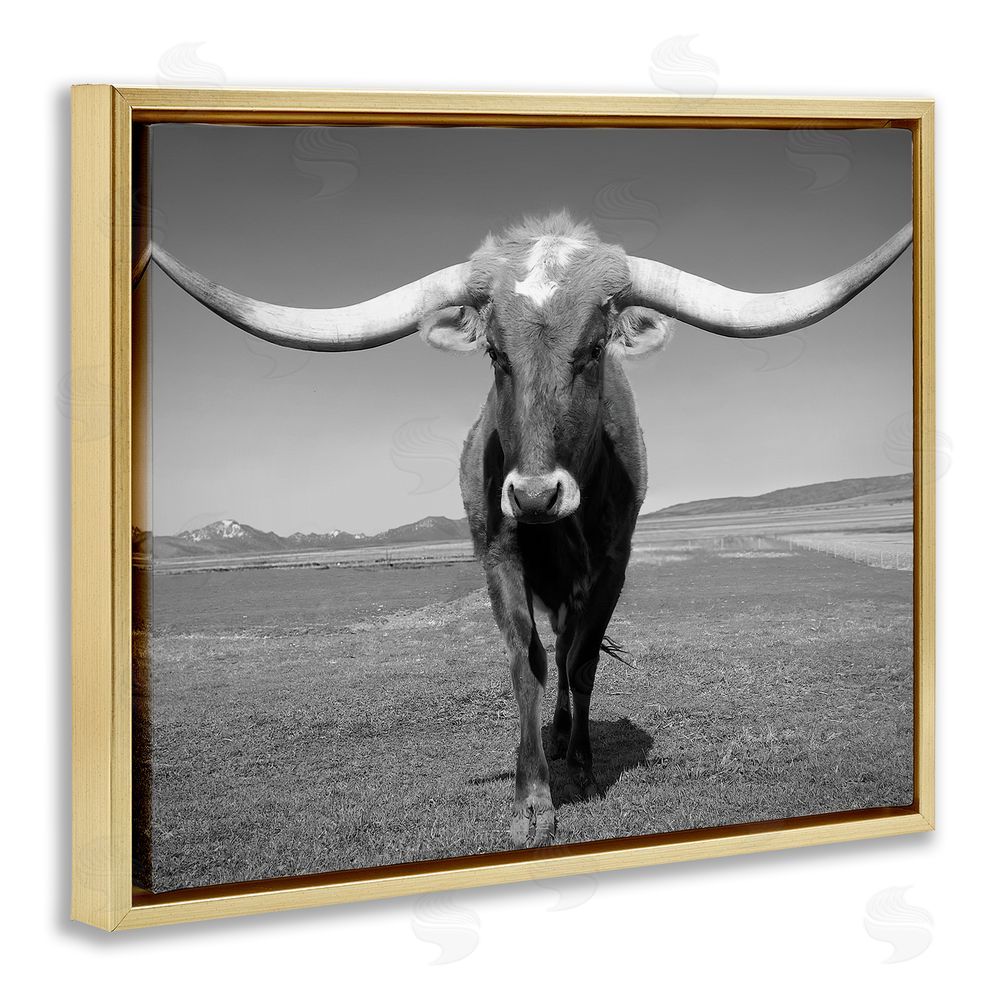 Steve Toole Longhorn in Countryside Gold Floating Frame Canvas Wall Art Print