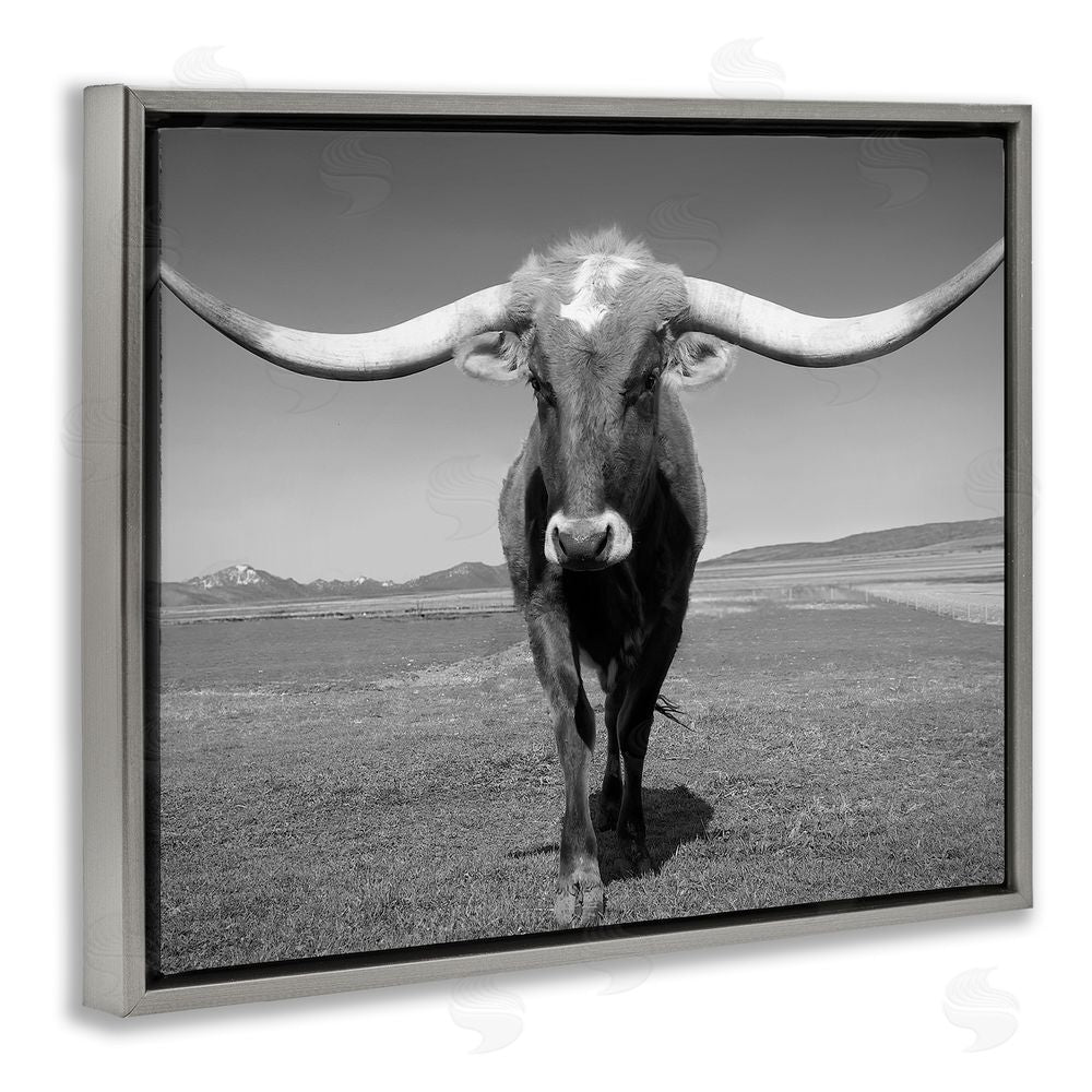 Steve Toole Longhorn in Countryside Gray Floating Frame Canvas Wall Art Print