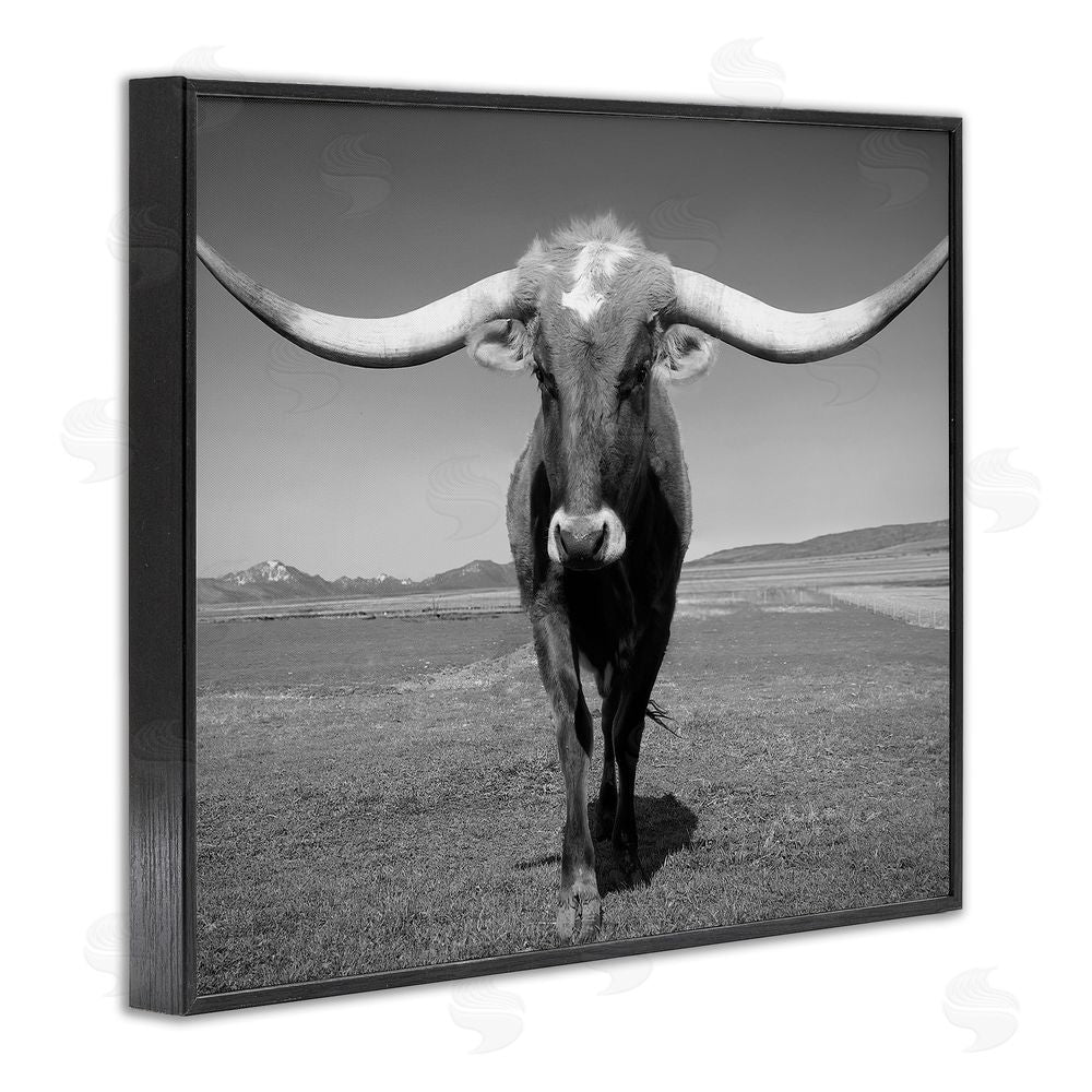 Steve Toole Longhorn in Countryside Black Framed Giclee Wall Art Print