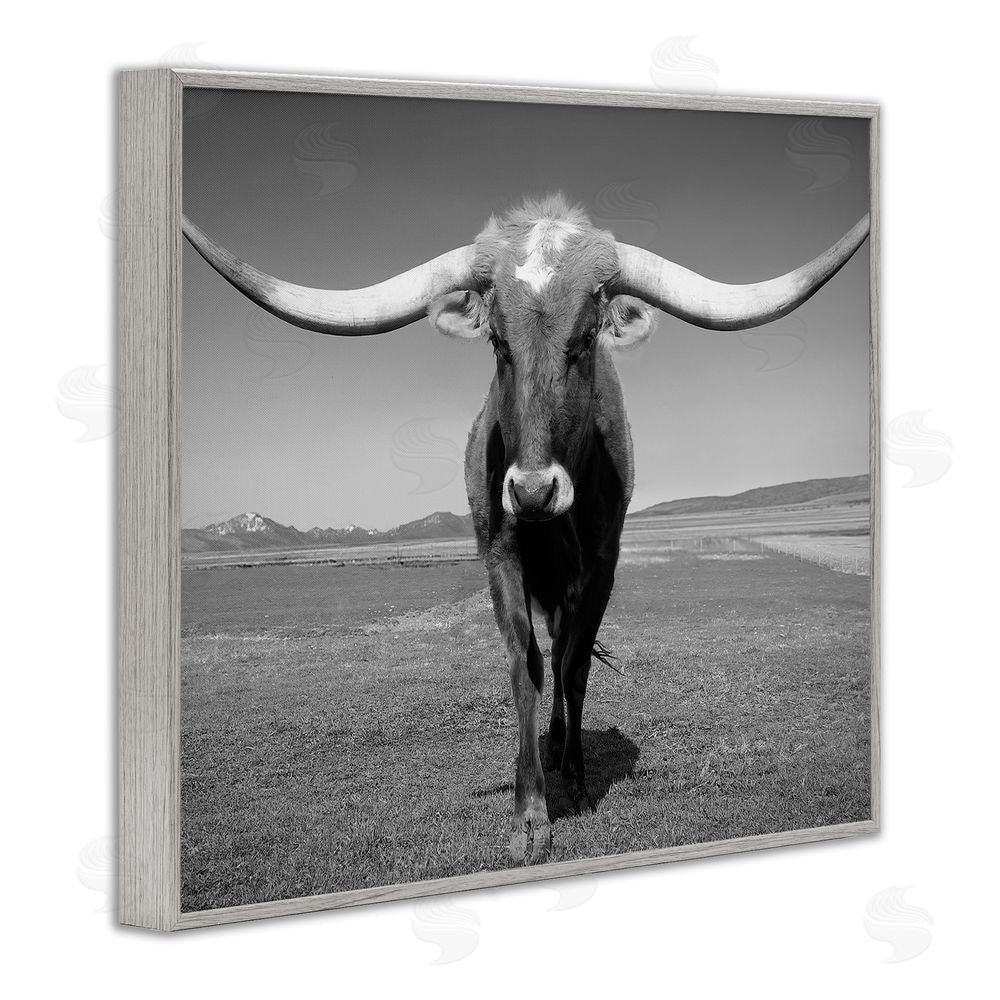 Steve Toole Longhorn in Countryside Gray Framed Giclee Wall Art Print