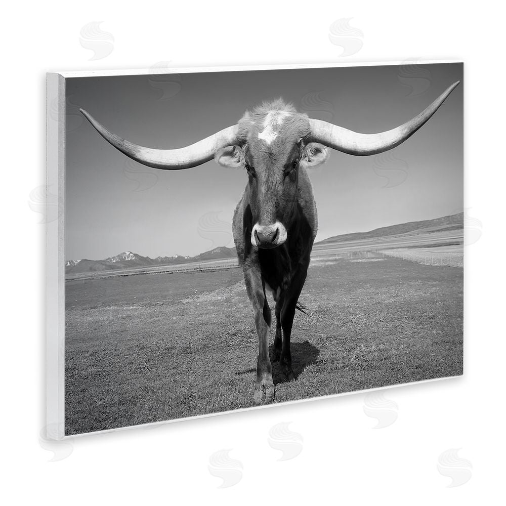 Steve Toole Longhorn in Countryside Wooden Wall Plaque Art Print