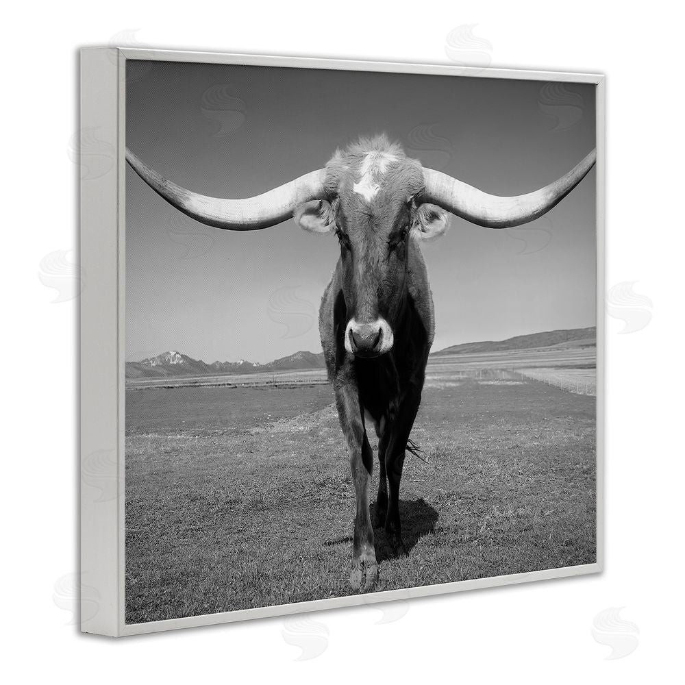 Steve Toole Longhorn in Countryside White Framed Giclee Wall Art Print