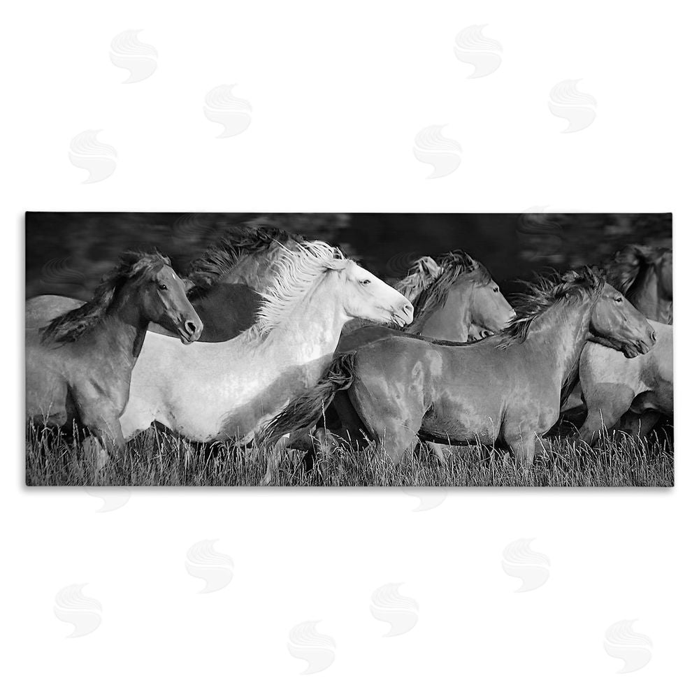 Steve Toole Horse Herd Galloping Canvas Wall Art Print