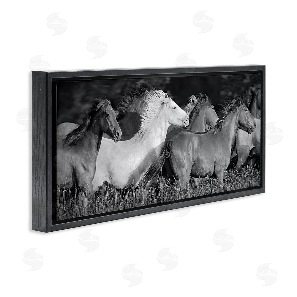 Steve Toole Horse Herd Galloping Black Floating Frame Canvas Wall Art Print