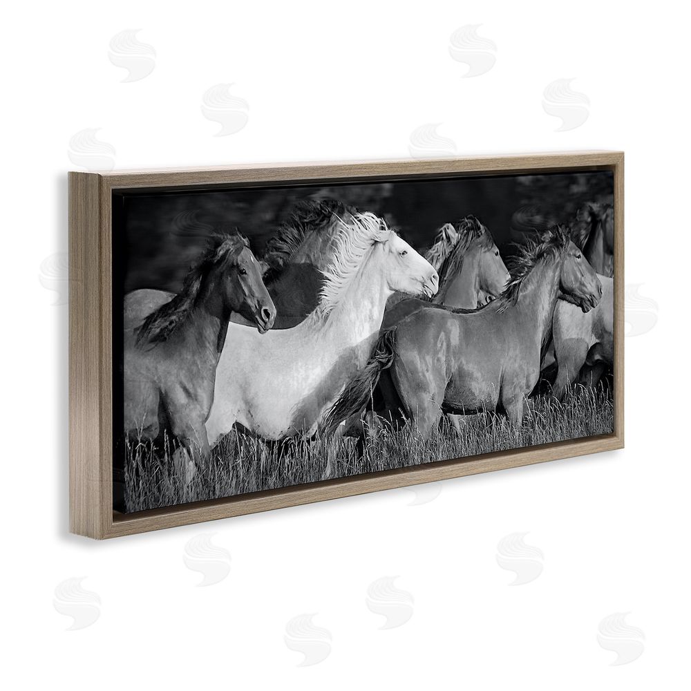 Steve Toole Horse Herd Galloping Brown Floating Frame Canvas Wall Art Print