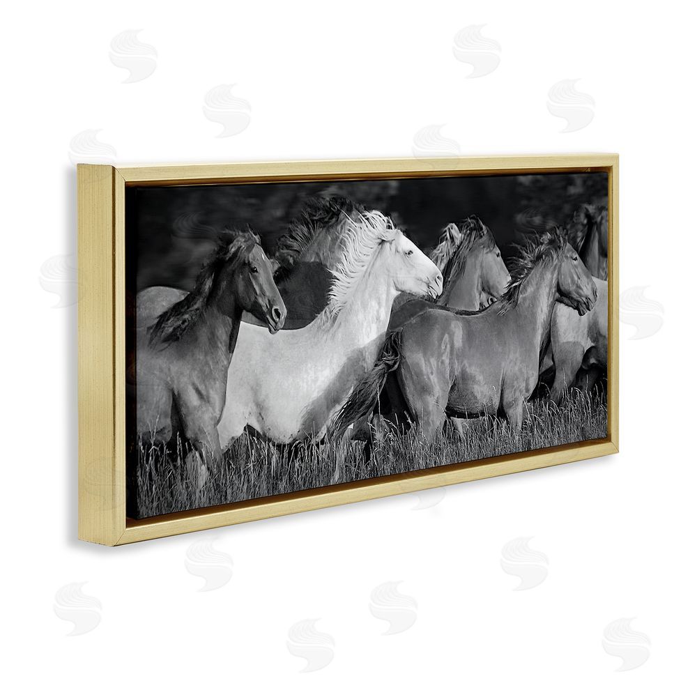 Steve Toole Horse Herd Galloping Gold Floating Frame Canvas Wall Art Print