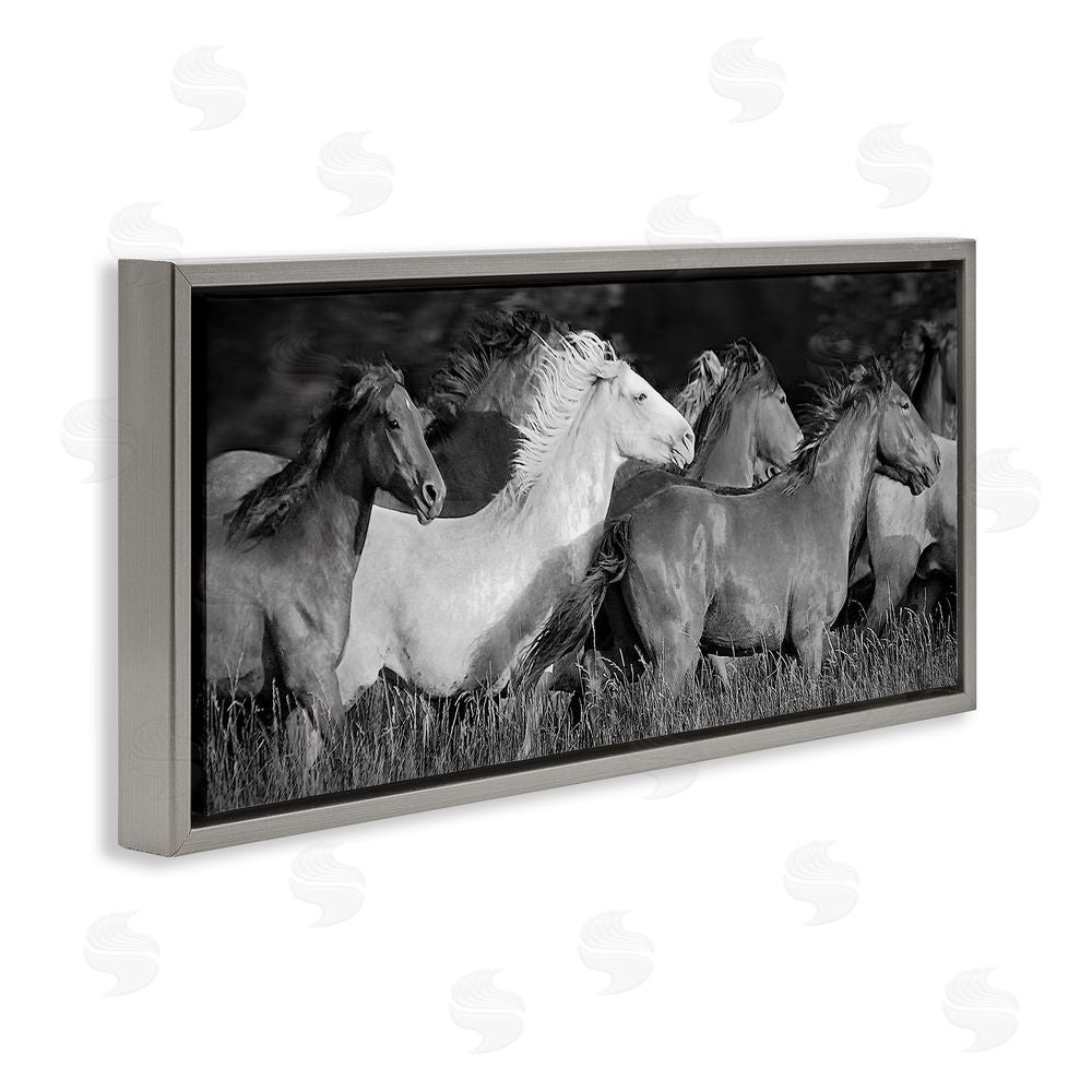 Steve Toole Horse Herd Galloping Gray Floating Frame Canvas Wall Art Print