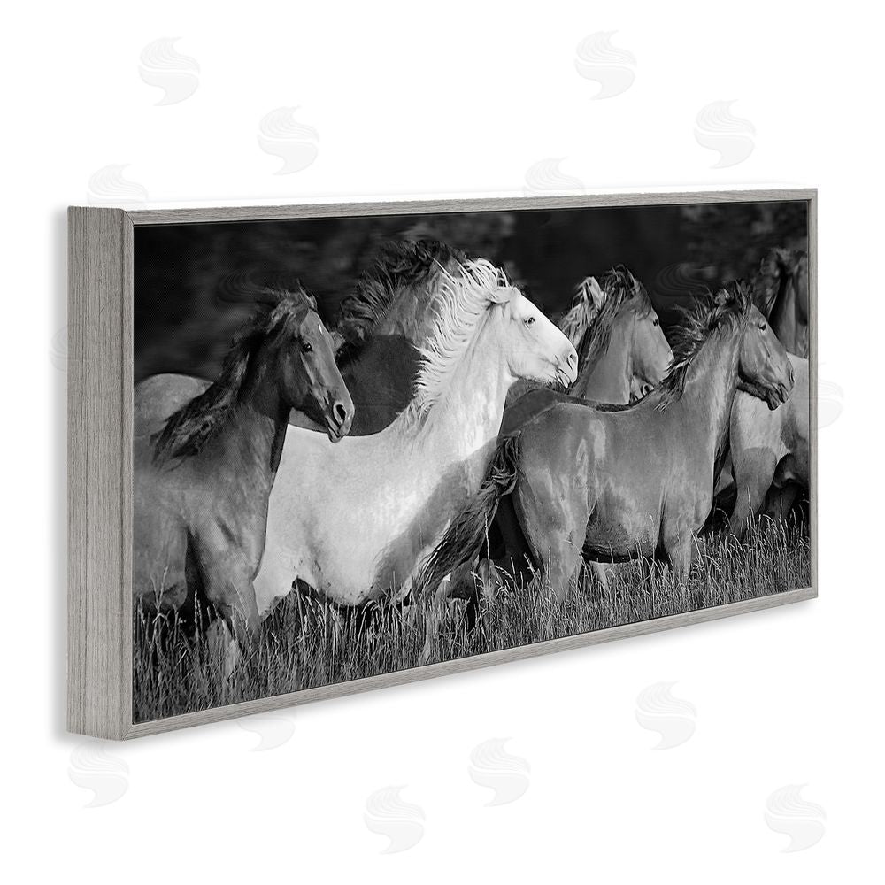 Steve Toole Horse Herd Galloping Gray Framed Giclee Wall Art Print