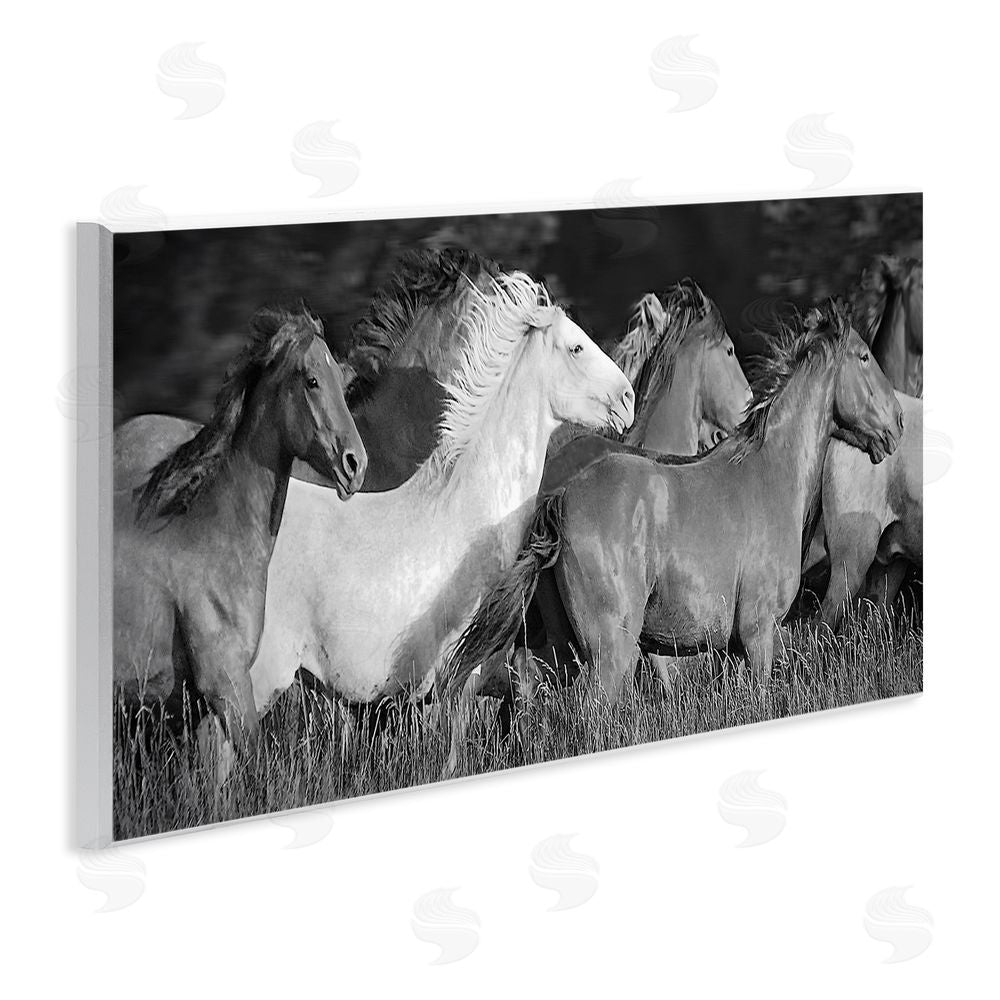 Steve Toole Horse Herd Galloping Wooden Wall Plaque Art Print