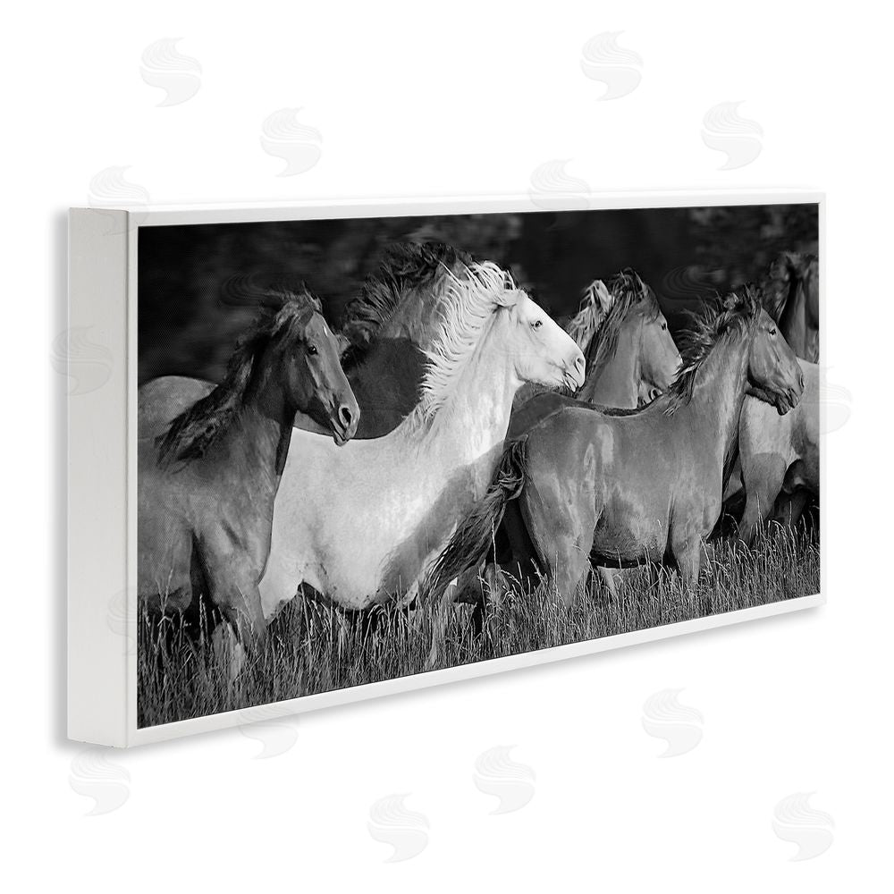 Steve Toole Horse Herd Galloping White Framed Giclee Wall Art Print