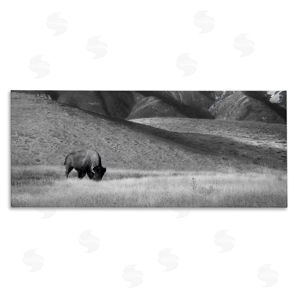Steve Toole Bison with Mountain Peaks Canvas Wall Art Print