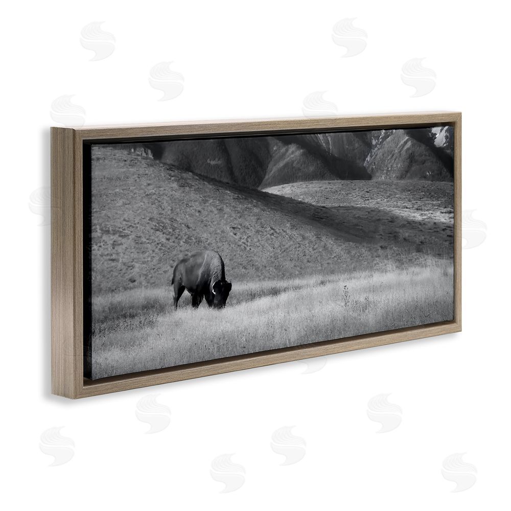 Steve Toole Bison with Mountain Peaks Brown Floating Frame Canvas Wall Art Print