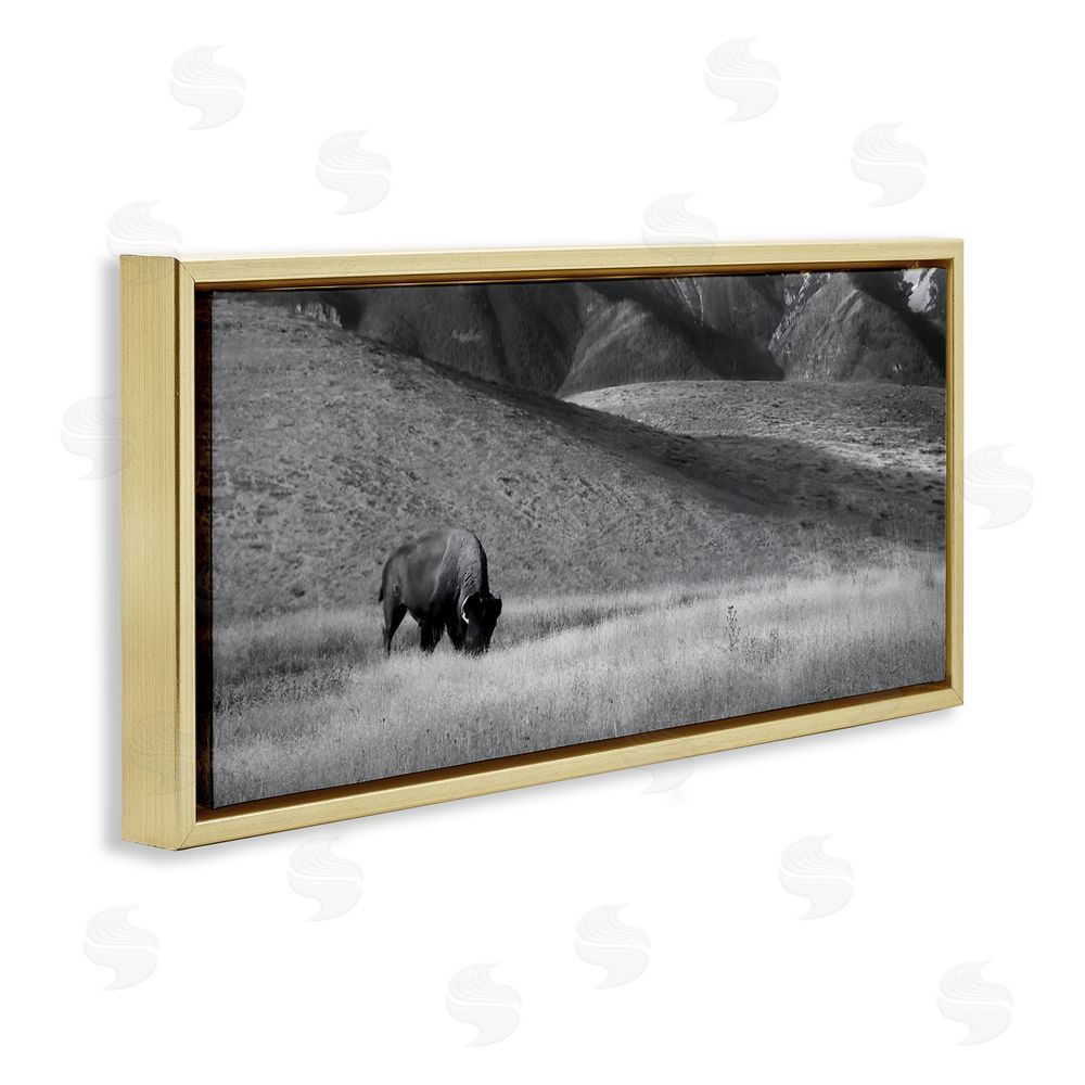 Steve Toole Bison with Mountain Peaks Gold Floating Frame Canvas Wall Art Print