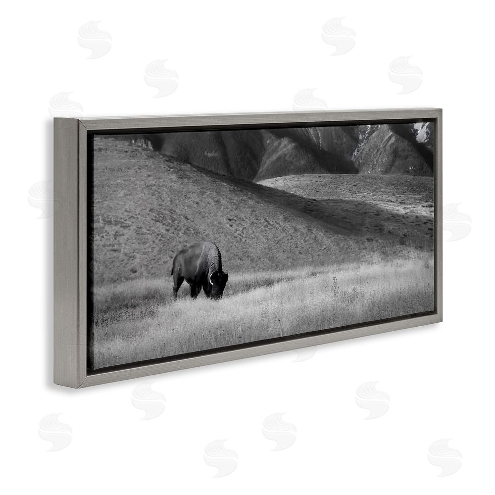 Steve Toole Bison with Mountain Peaks Gray Floating Frame Canvas Wall Art Print