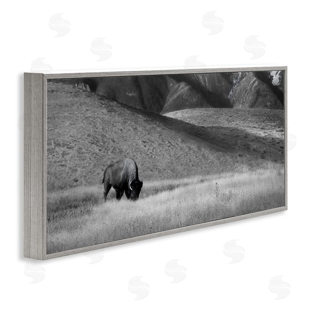 Steve Toole Bison with Mountain Peaks Gray Framed Giclee Wall Art Print