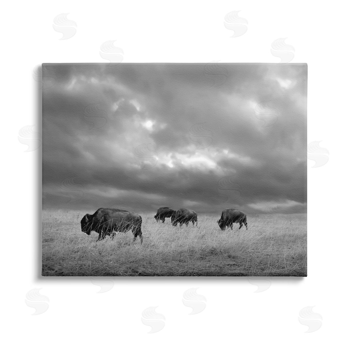 Steve Toole Bison in Cloudy Field Canvas Wall Art Print