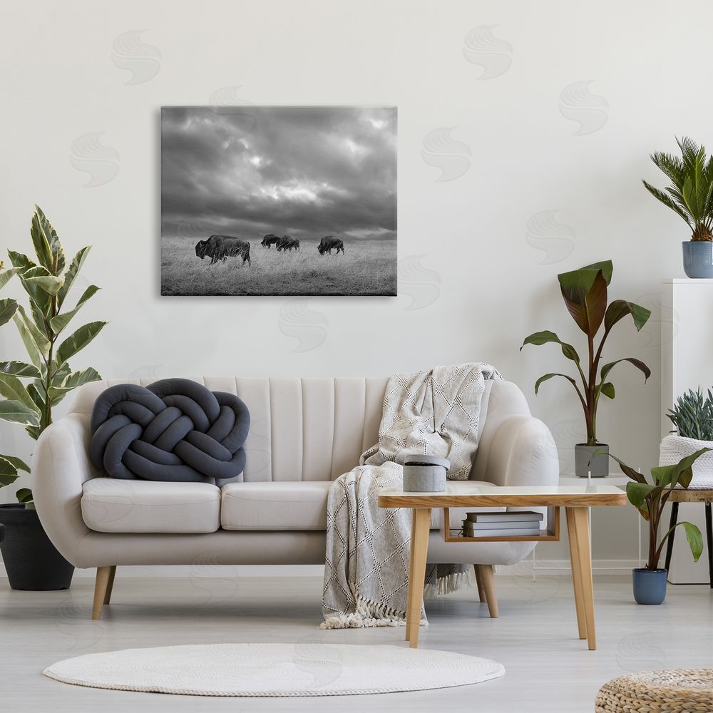 Steve Toole Bison in Cloudy Field Canvas Wall Art Print in Room