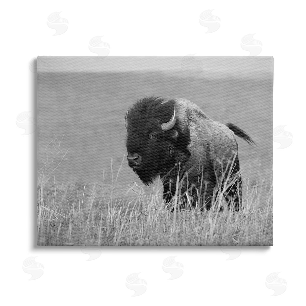 Steve Toole Bison Grazing in Field Canvas Wall Art Print