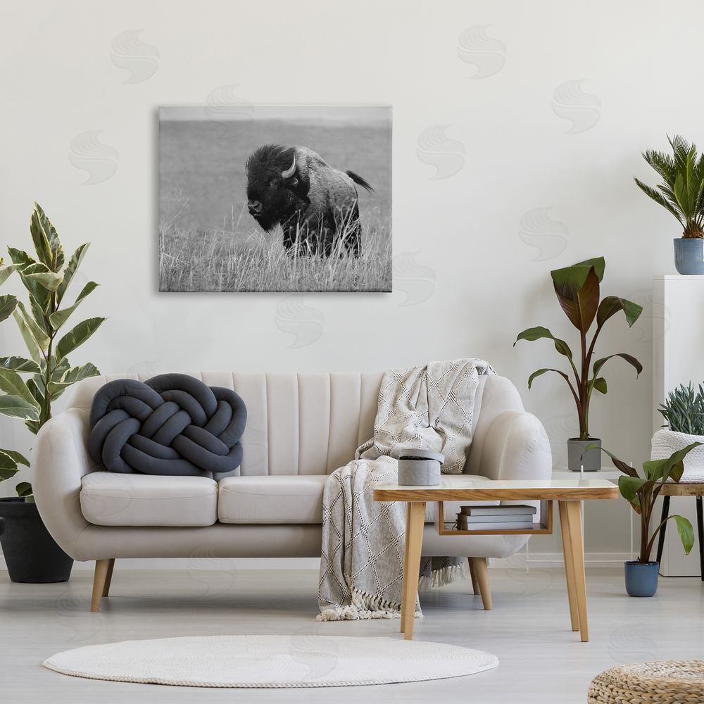 Steve Toole Bison Grazing in Field Canvas Wall Art Print in Room