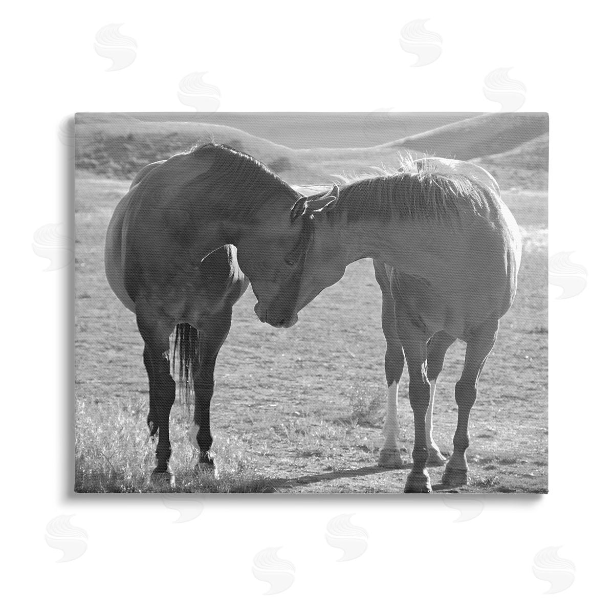 Steve Toole Horses Hugging Photography Canvas Wall Art Print