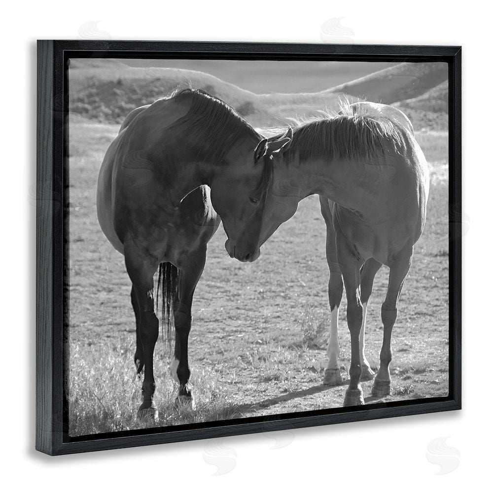 Steve Toole Horses Hugging Photography Black Floating Frame Canvas Wall Art Print