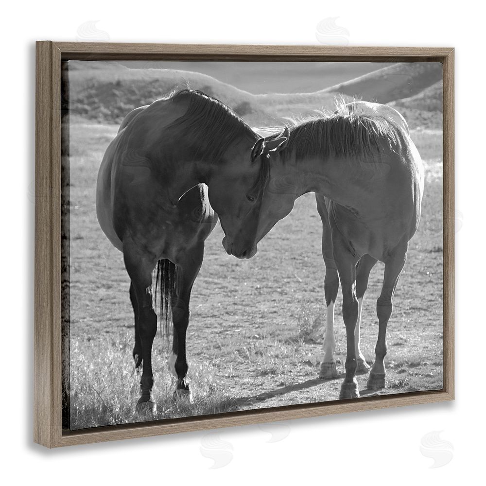 Steve Toole Horses Hugging Photography Brown Floating Frame Canvas Wall Art Print