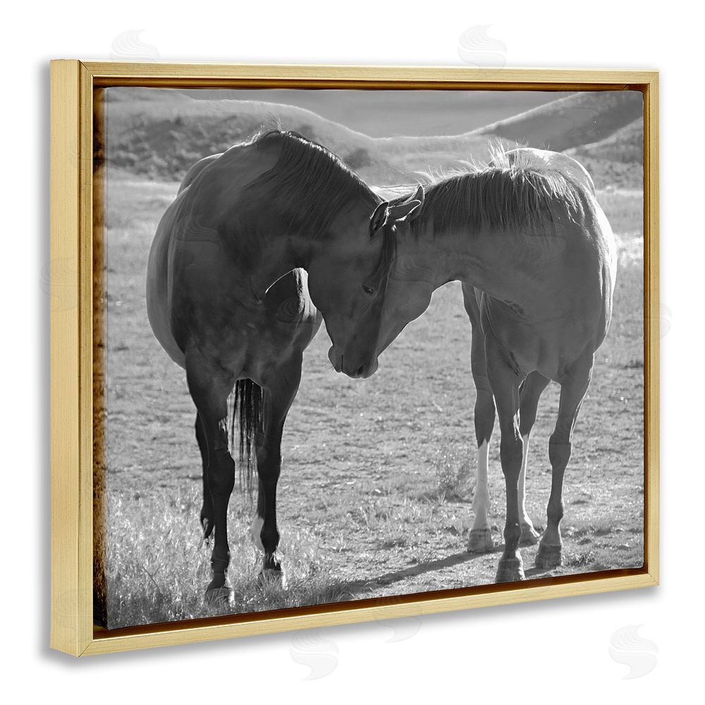 Steve Toole Horses Hugging Photography Gold Floating Frame Canvas Wall Art Print