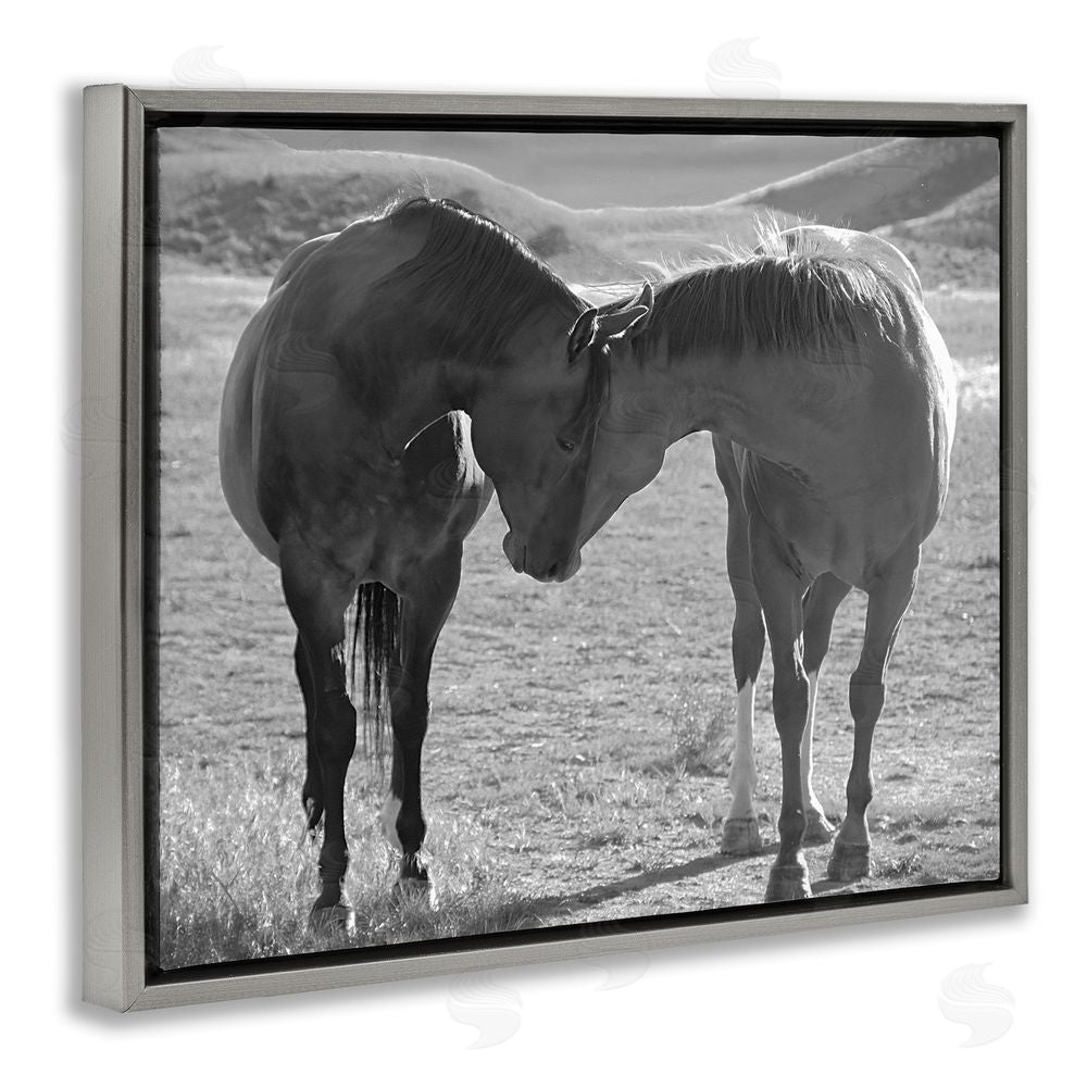 Steve Toole Horses Hugging Photography Gray Floating Frame Canvas Wall Art Print