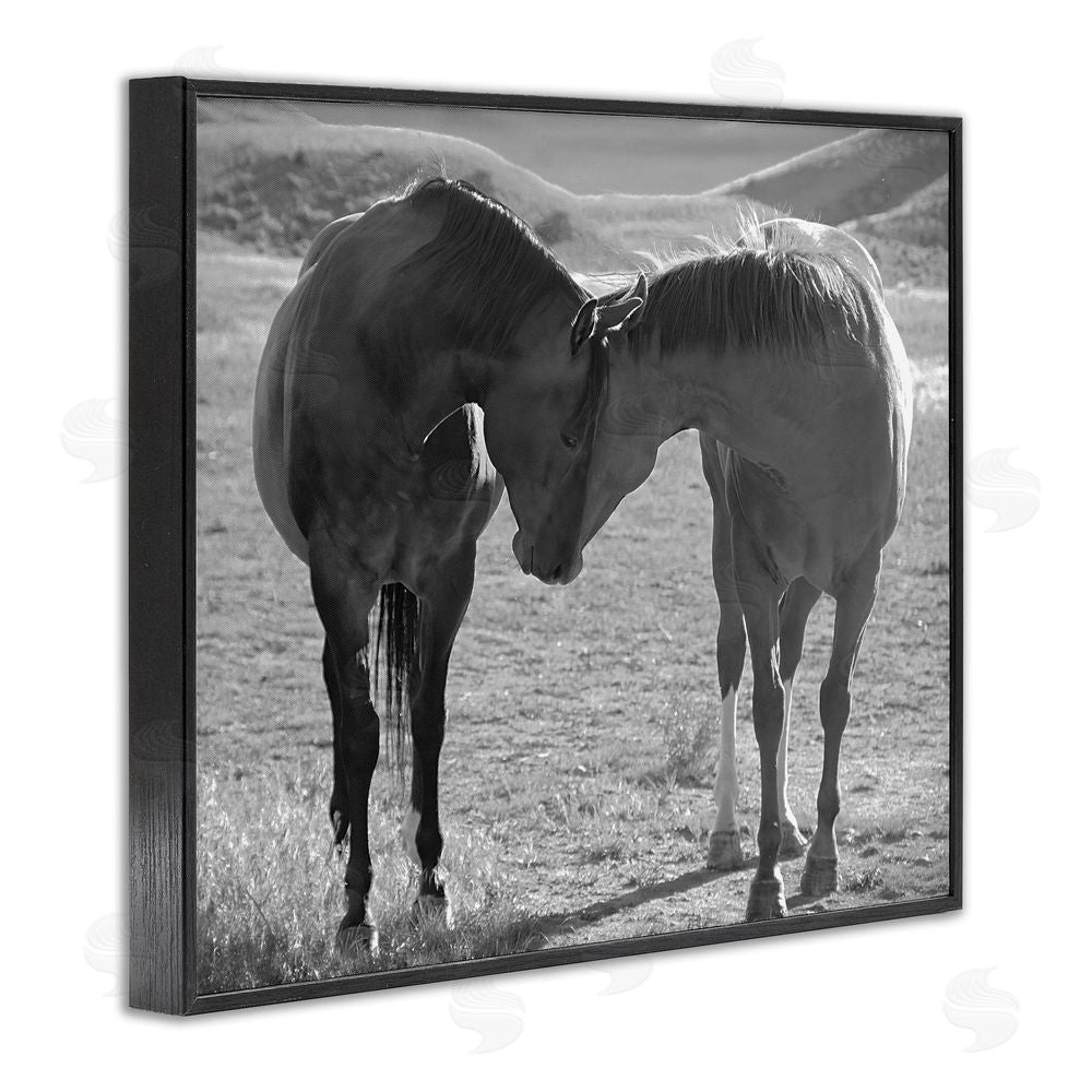 Steve Toole Horses Hugging Photography Black Framed Giclee Wall Art Print