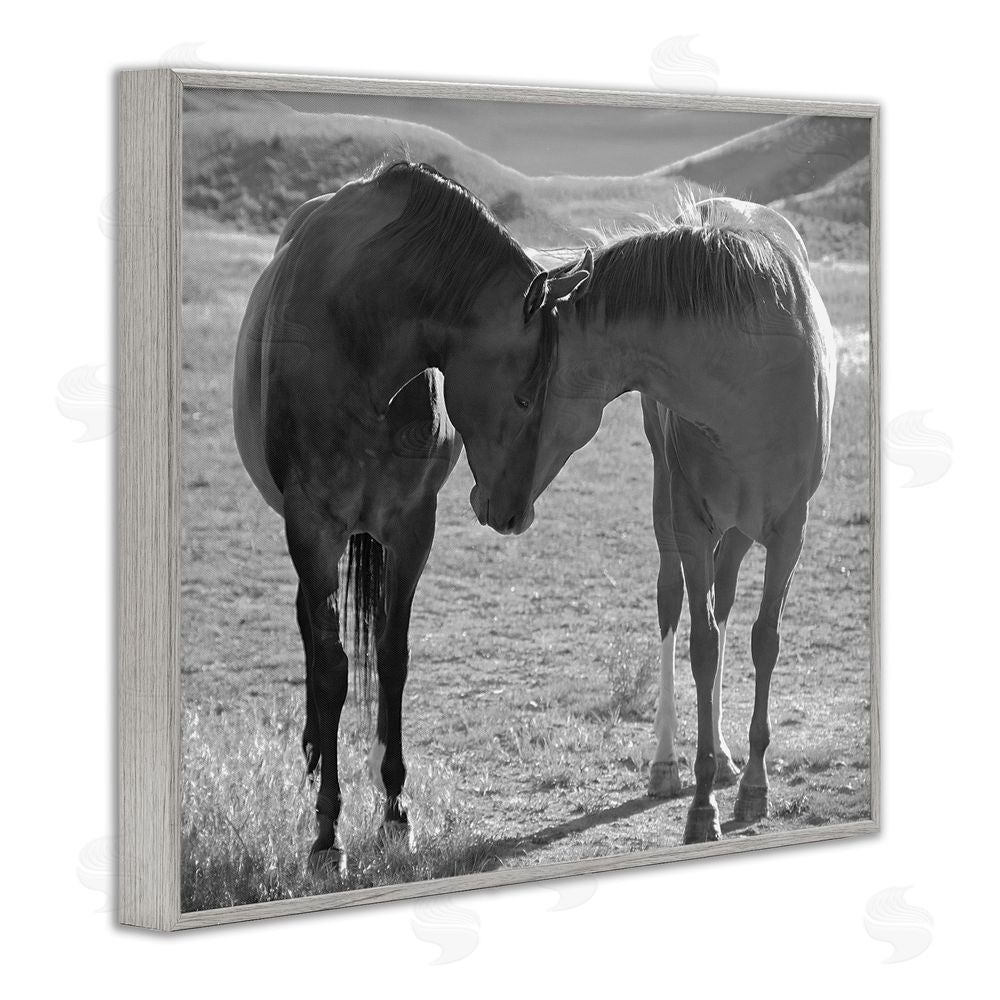 Steve Toole Horses Hugging Photography Gray Framed Giclee Wall Art Print