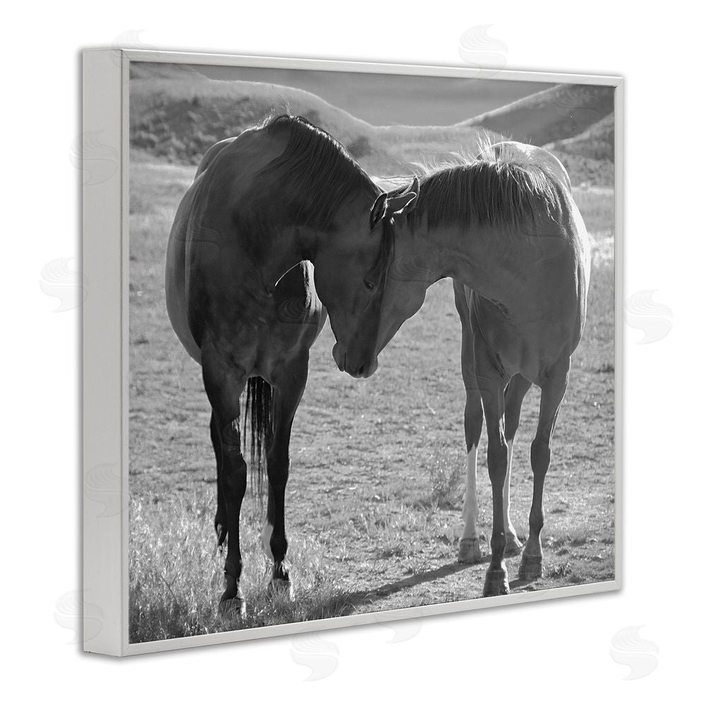 Steve Toole Horses Hugging Photography White Framed Giclee Wall Art Print