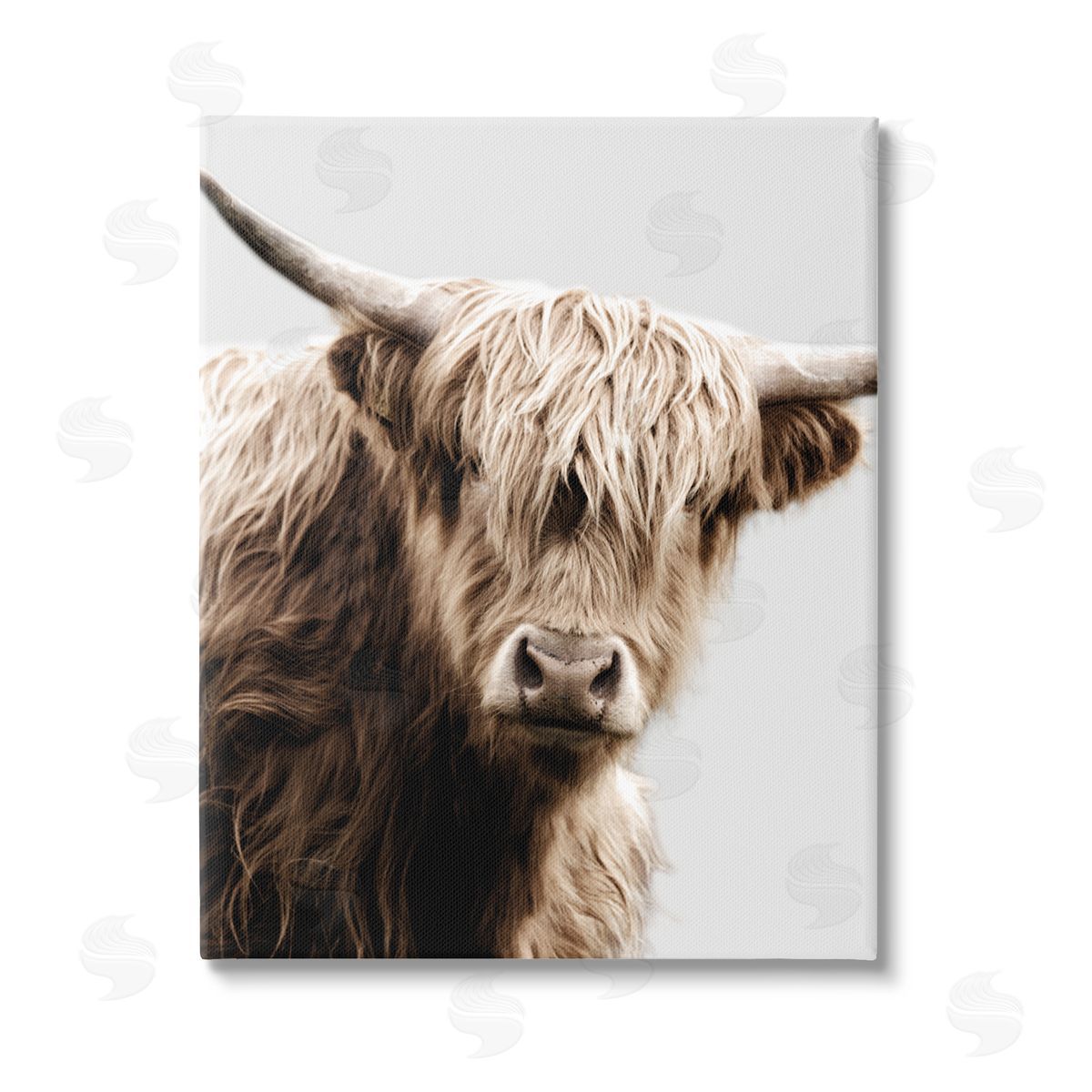 Danita Delimont Wooly Cattle Portrait Stretched Canvas Wall Art Print