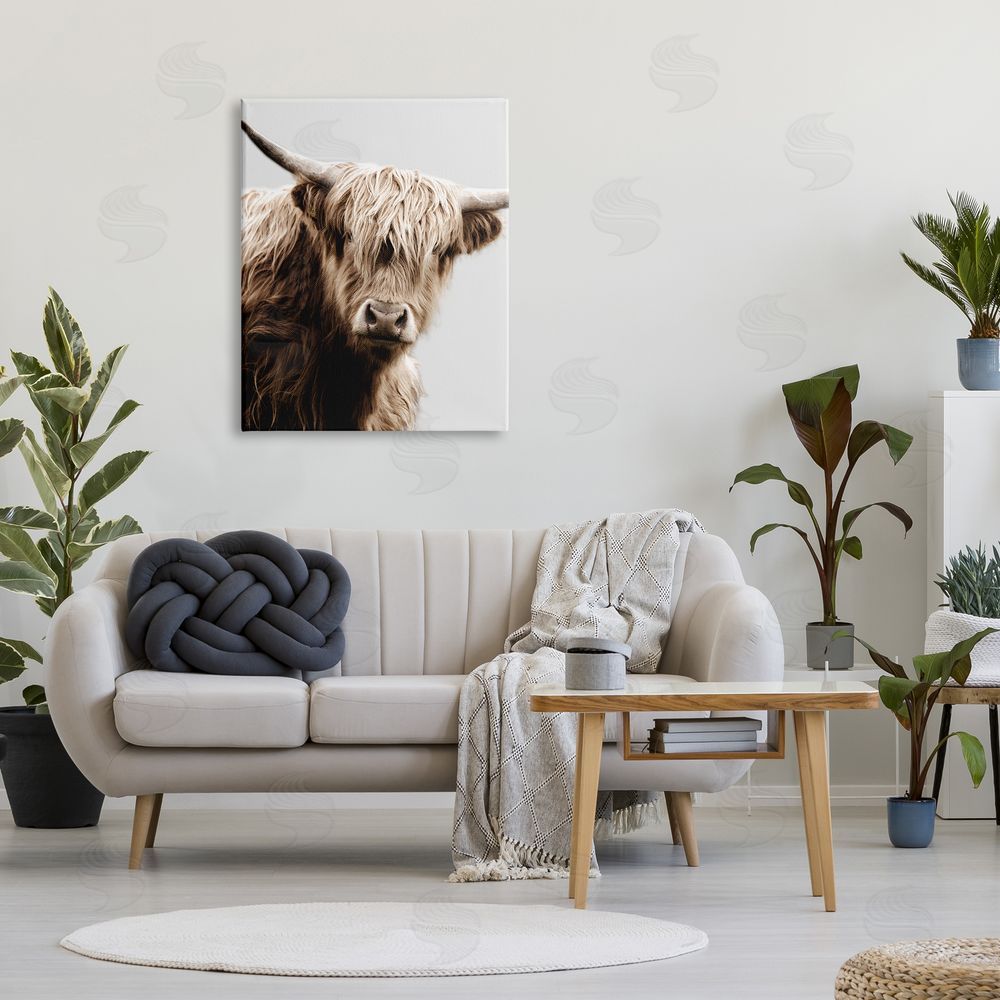 Danita Delimont Wooly Cattle Portrait Canvas Wall Art Print in Room