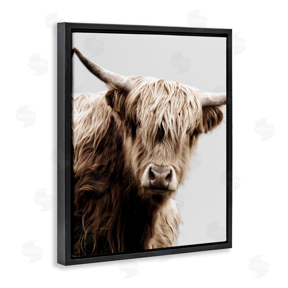 Danita Delimont Wooly Cattle Portrait Black Floating Frame Canvas Wall Art Print