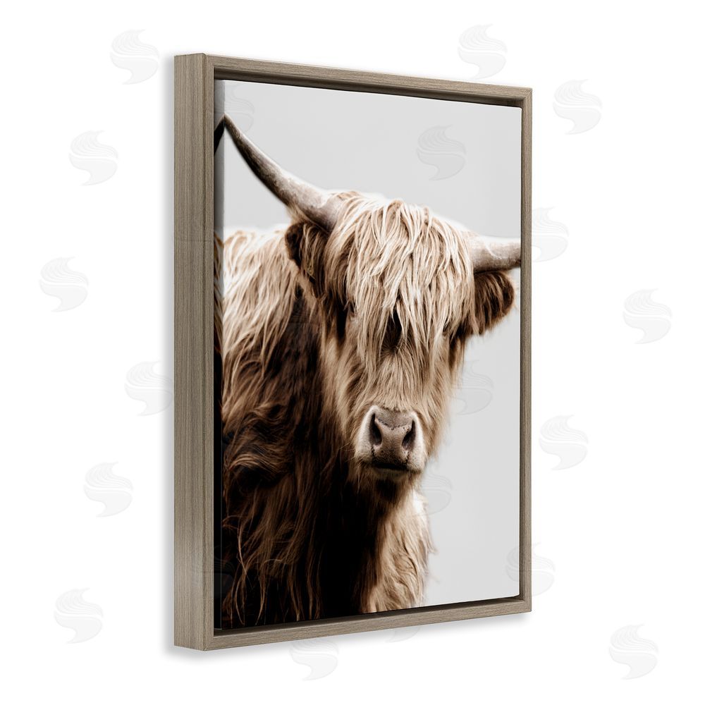 Danita Delimont Wooly Cattle Portrait Brown Floating Frame Canvas Wall Art Print