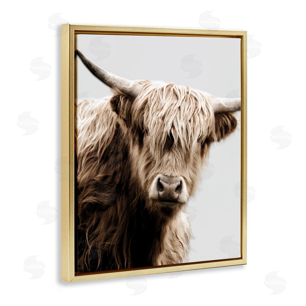 Danita Delimont Wooly Cattle Portrait Gold Floating Frame Canvas Wall Art Print