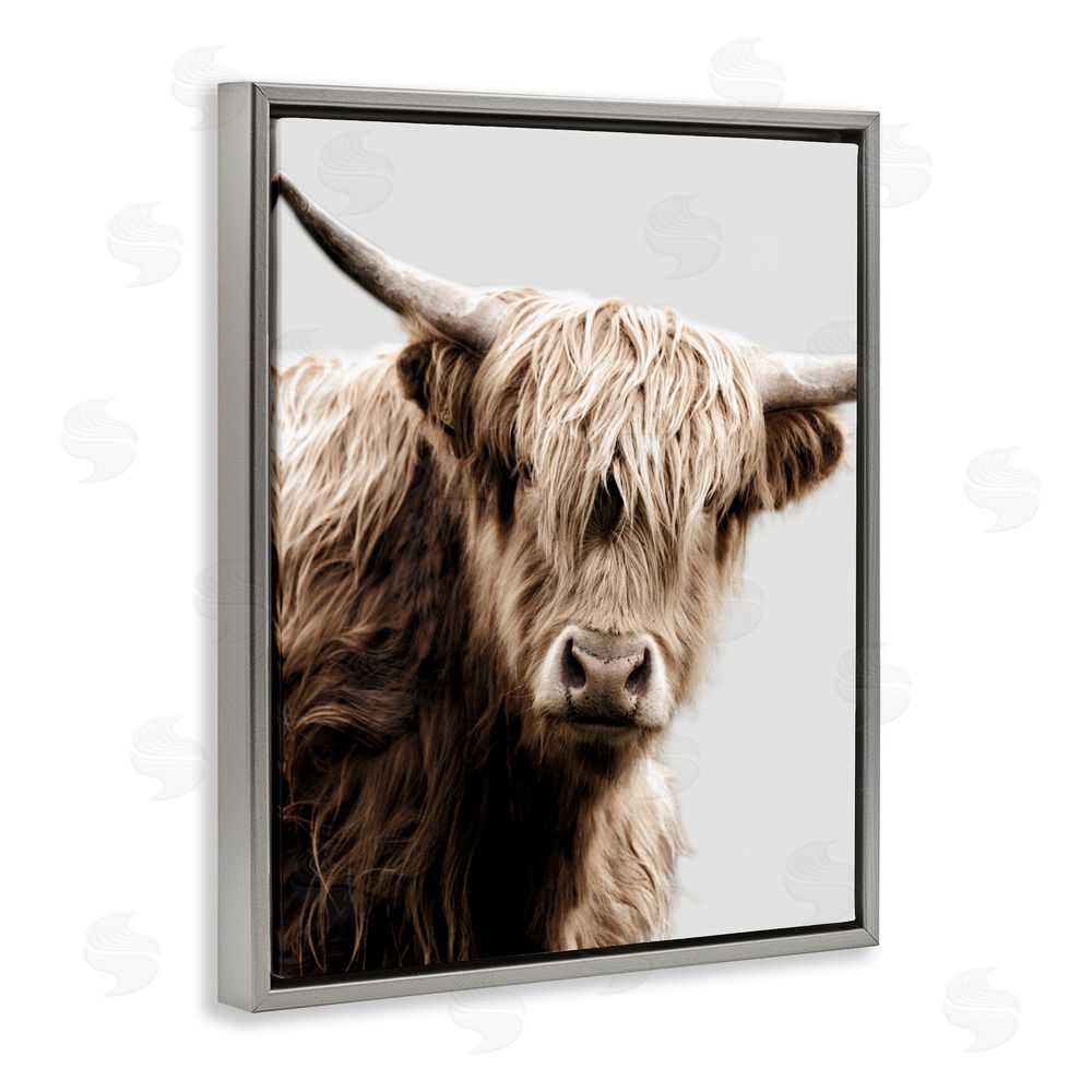 Danita Delimont Wooly Cattle Portrait Grey Floating Frame Canvas Wall Art Print