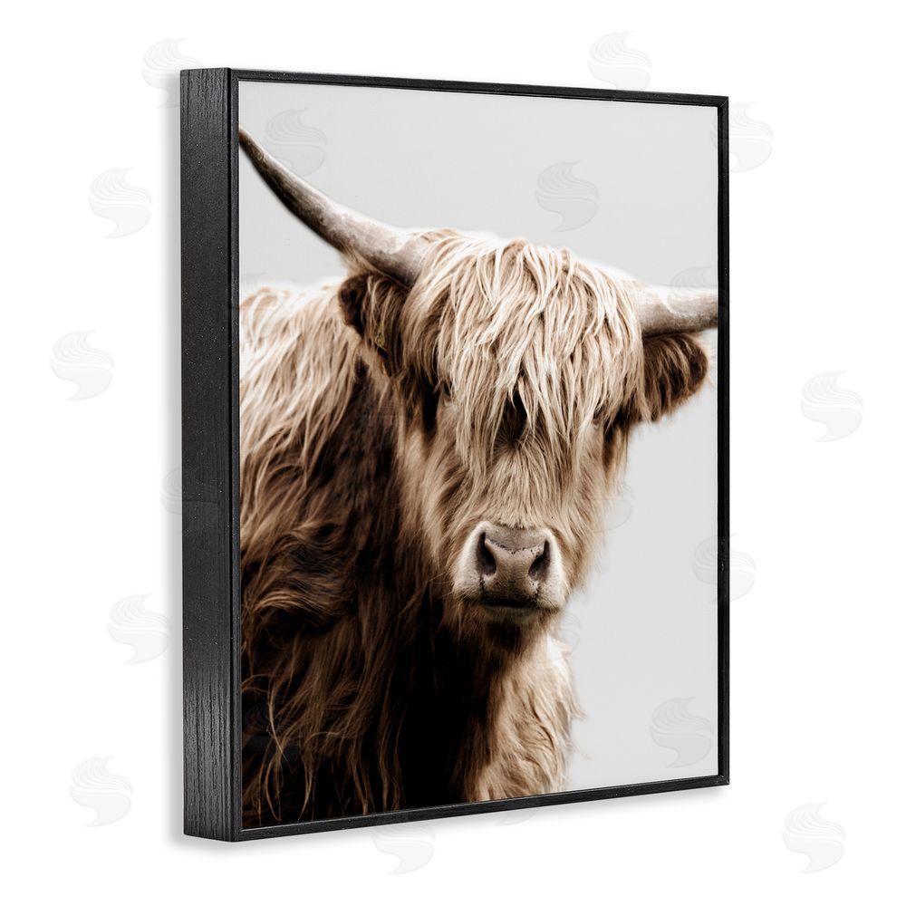 Danita Delimont Wooly Cattle Portrait Black Framed Giclee Wall Art Print