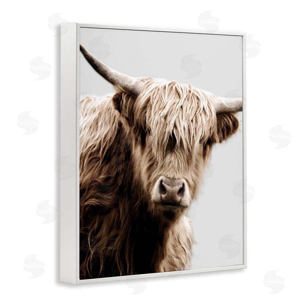 Danita Delimont Wooly Cattle Portrait White Framed Giclee Wall Art Print