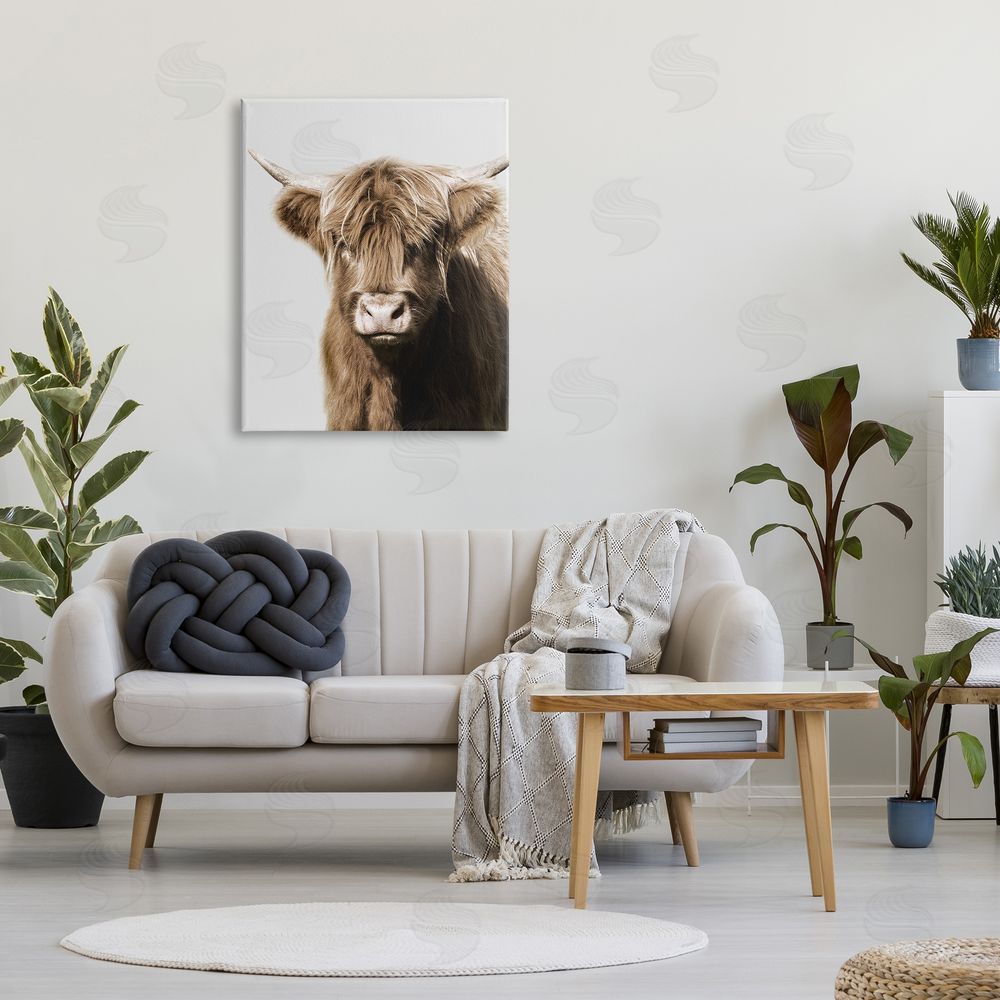 Danita Delimont Highland Cattle Close-Up Canvas Wall Art Print in Room