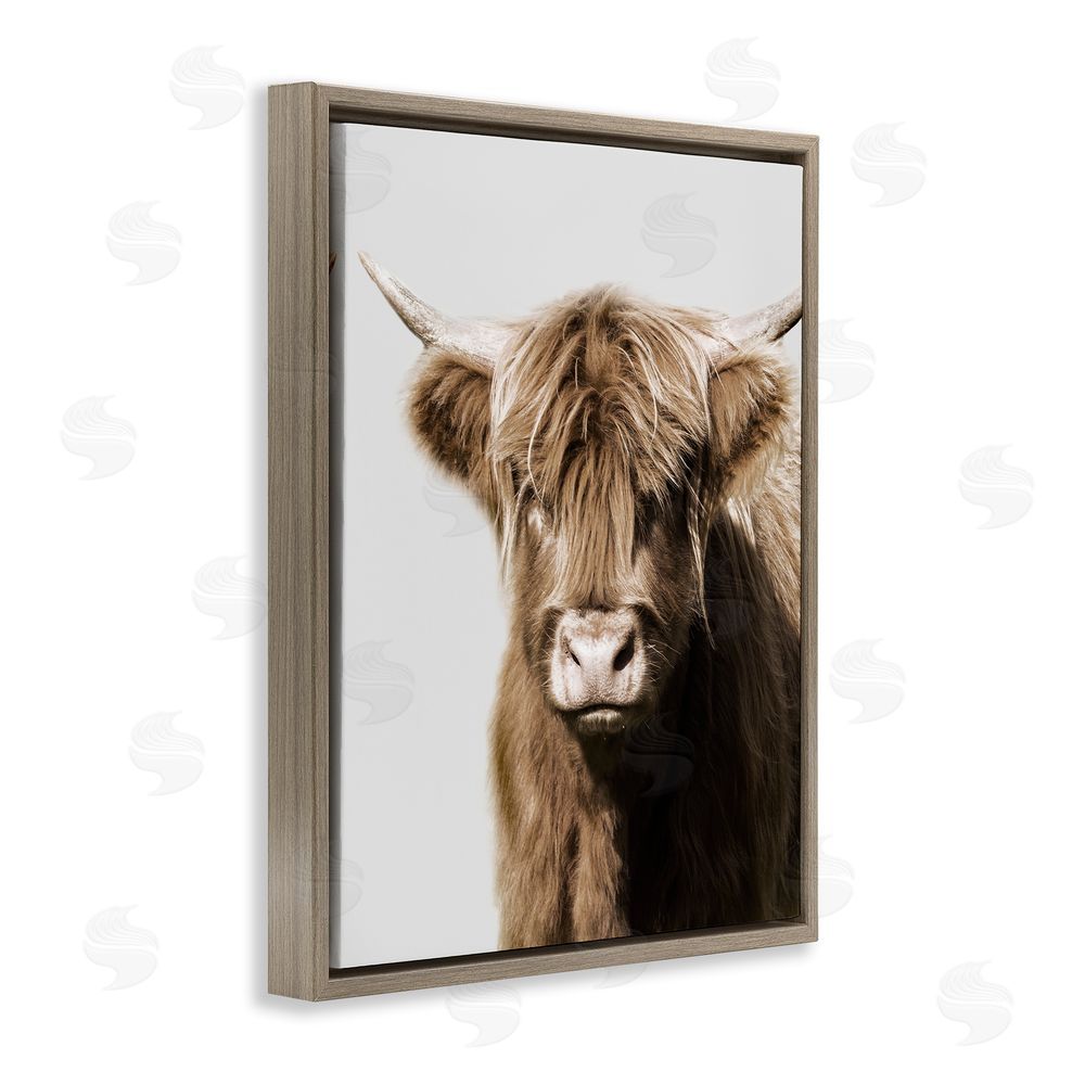 Danita Delimont Highland Cattle Close-Up Brown Floating Frame Canvas Wall Art Print