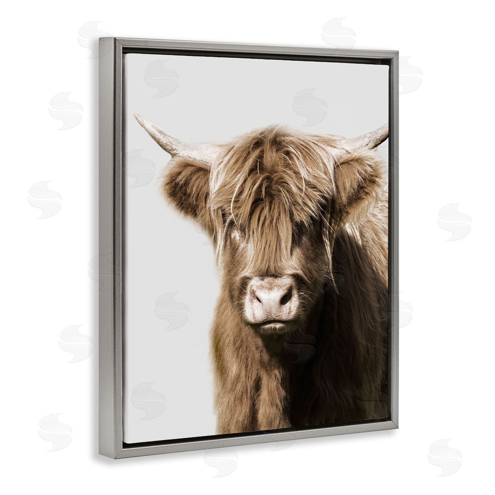 Danita Delimont Highland Cattle Close-Up Grey Floating Frame Canvas Wall Art Print